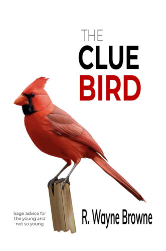 The Clue Bird Book Cover