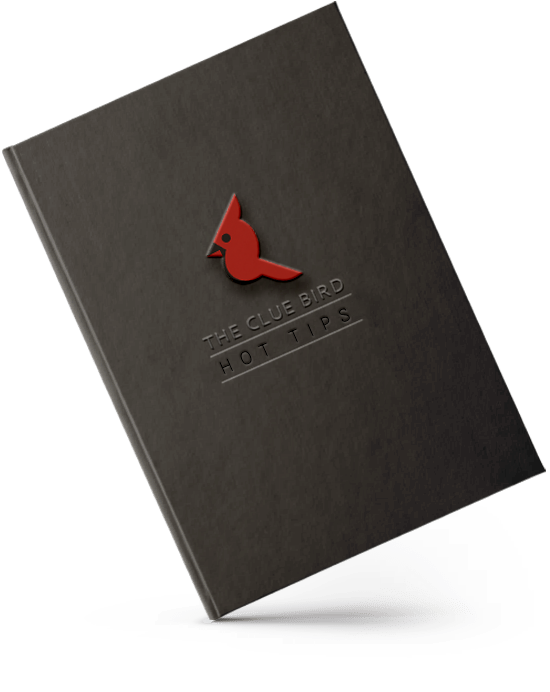A black hardcover book tilted slightly on its spine, casting a soft shadow. The cover features a minimalist red cardinal logo above the embossed title “THE CLUE BIRD HOT TIPS.” The design is clean and modern with a textured matte finish.
